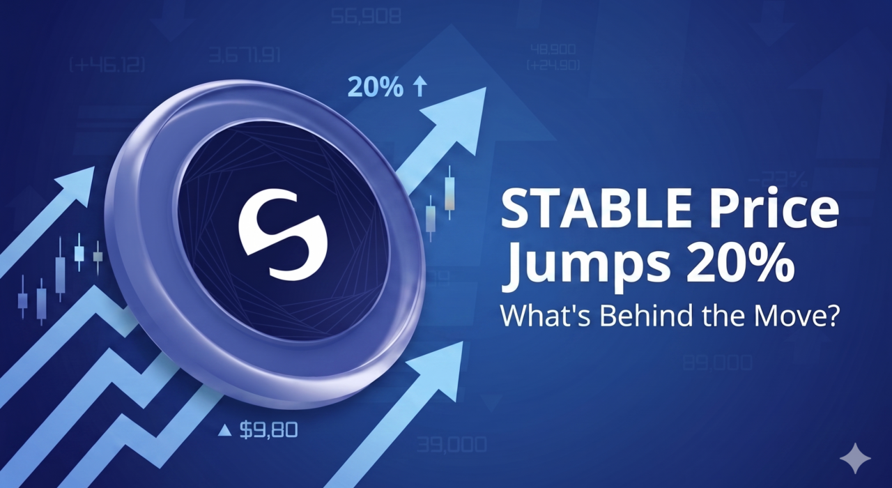 STABLE token price rallies 20 percent amid strong crypto market momentum